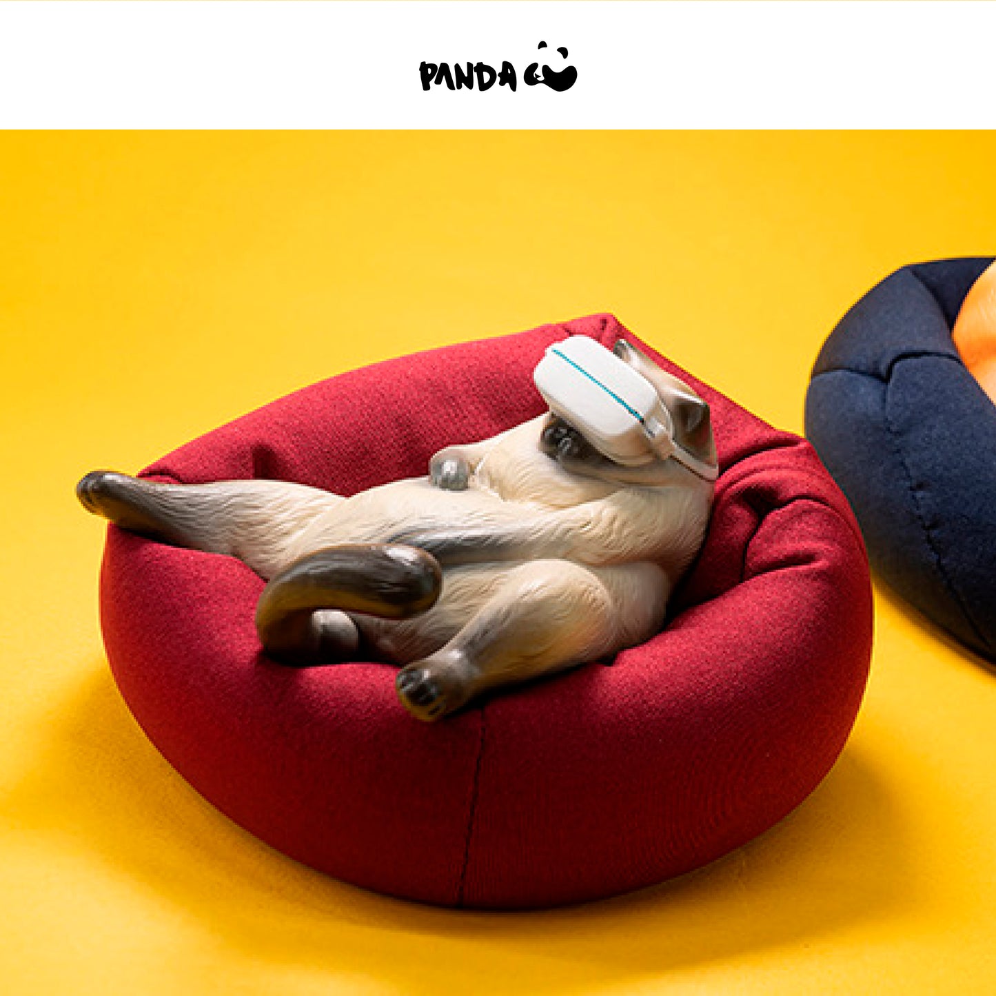 The Lazy Thing - Siamese Cat guodong