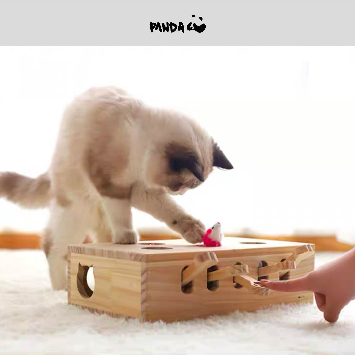 MA-012 Cat toys