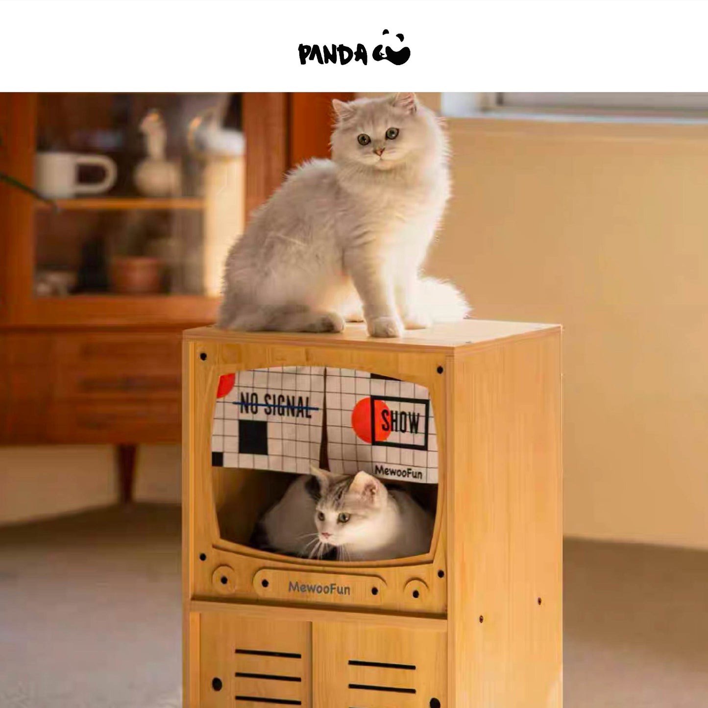 Cat TV BOX