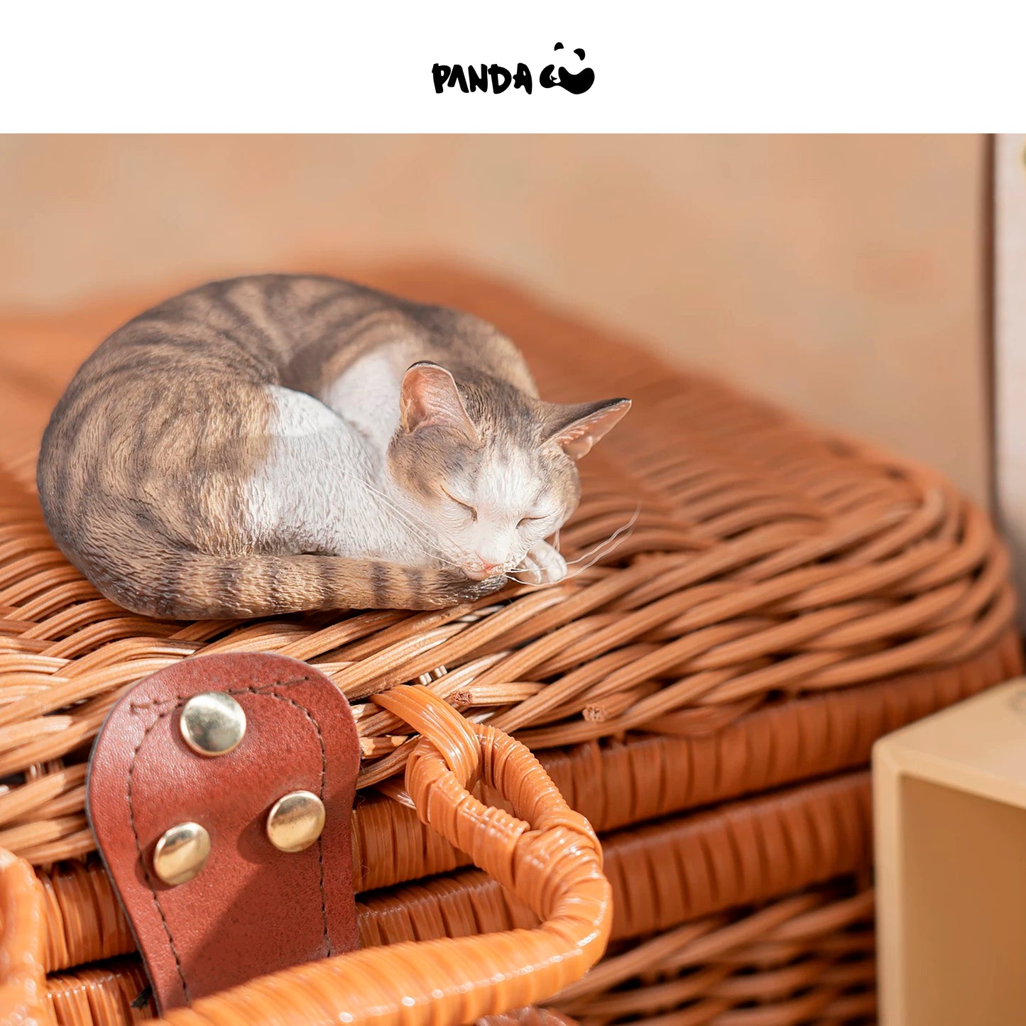 Moriguchi Shu “Moriguchi Shu's Cat Sleeping Group Cat - Civet Cat