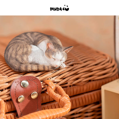 Moriguchi Shu “Moriguchi Shu's Cat Sleeping Group Cat - Civet Cat