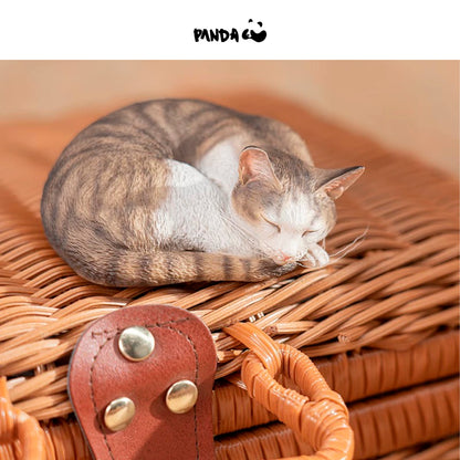 Moriguchi Shu “Moriguchi Shu's Cat Sleeping Group Cat - Civet Cat