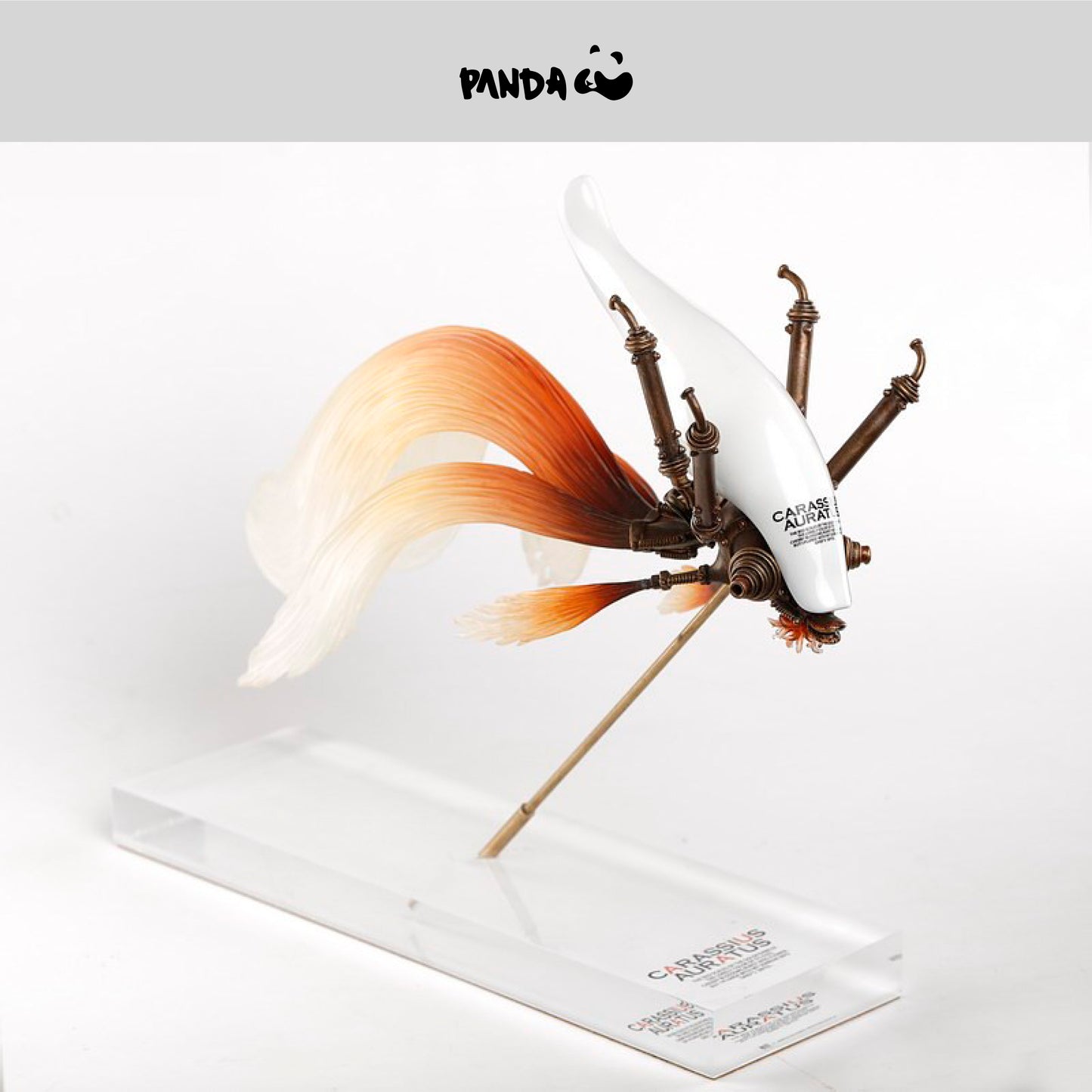 Carassius Auratus Version : Blanc Michihiro Matsuoka Quantité limitée : 300 pièces