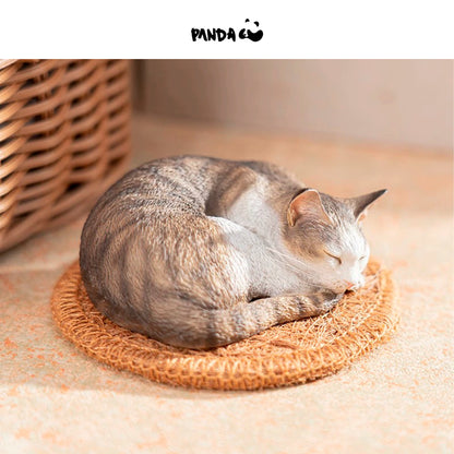 Moriguchi Shu “Moriguchi Shu's Cat Sleeping Group Cat - Civet Cat