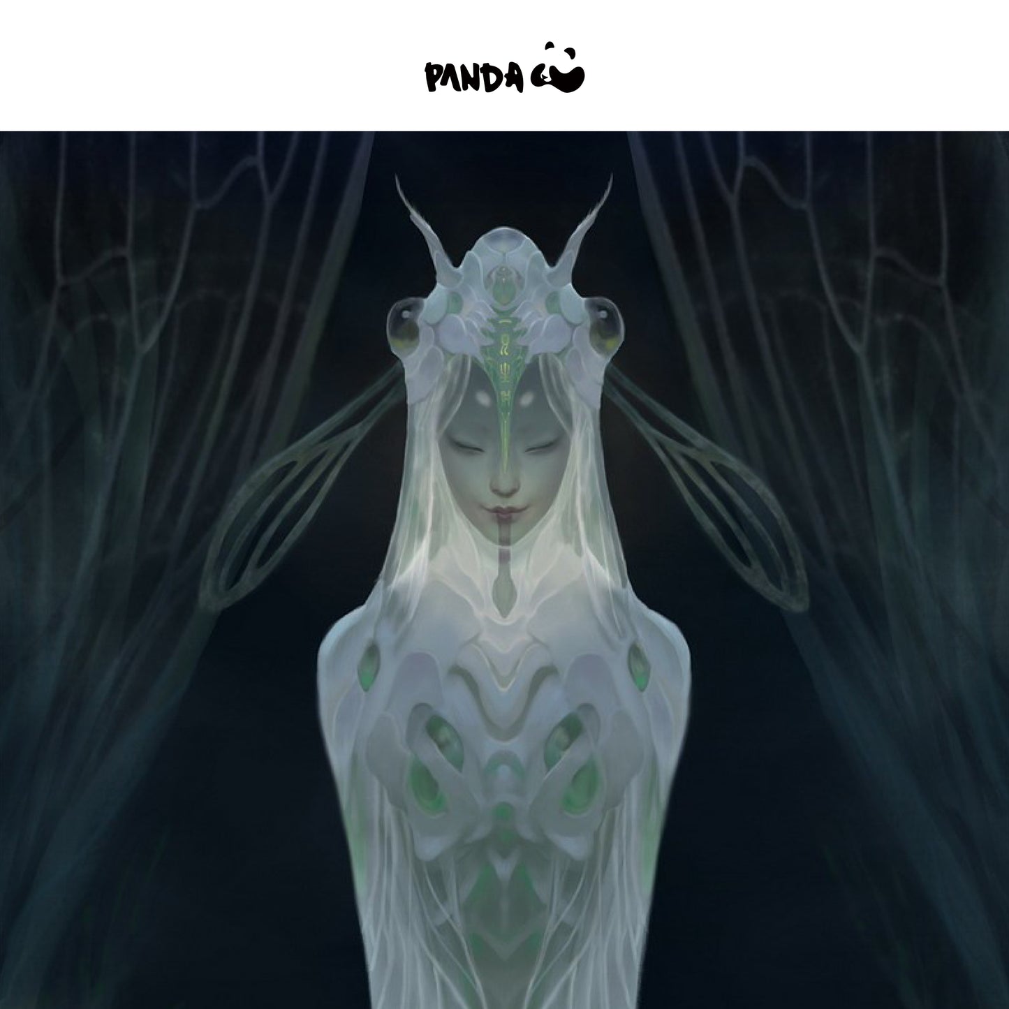 Cigale sorcière noire et blanche - Cigale sorcière blanche