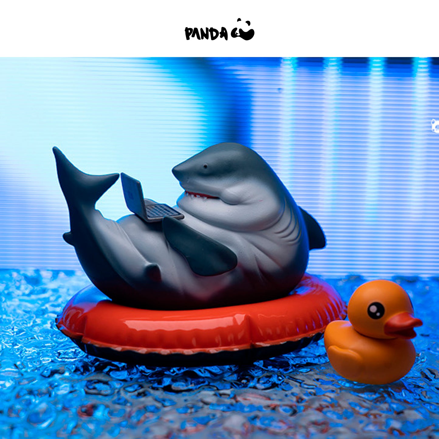 Slacker Sharks.guodong