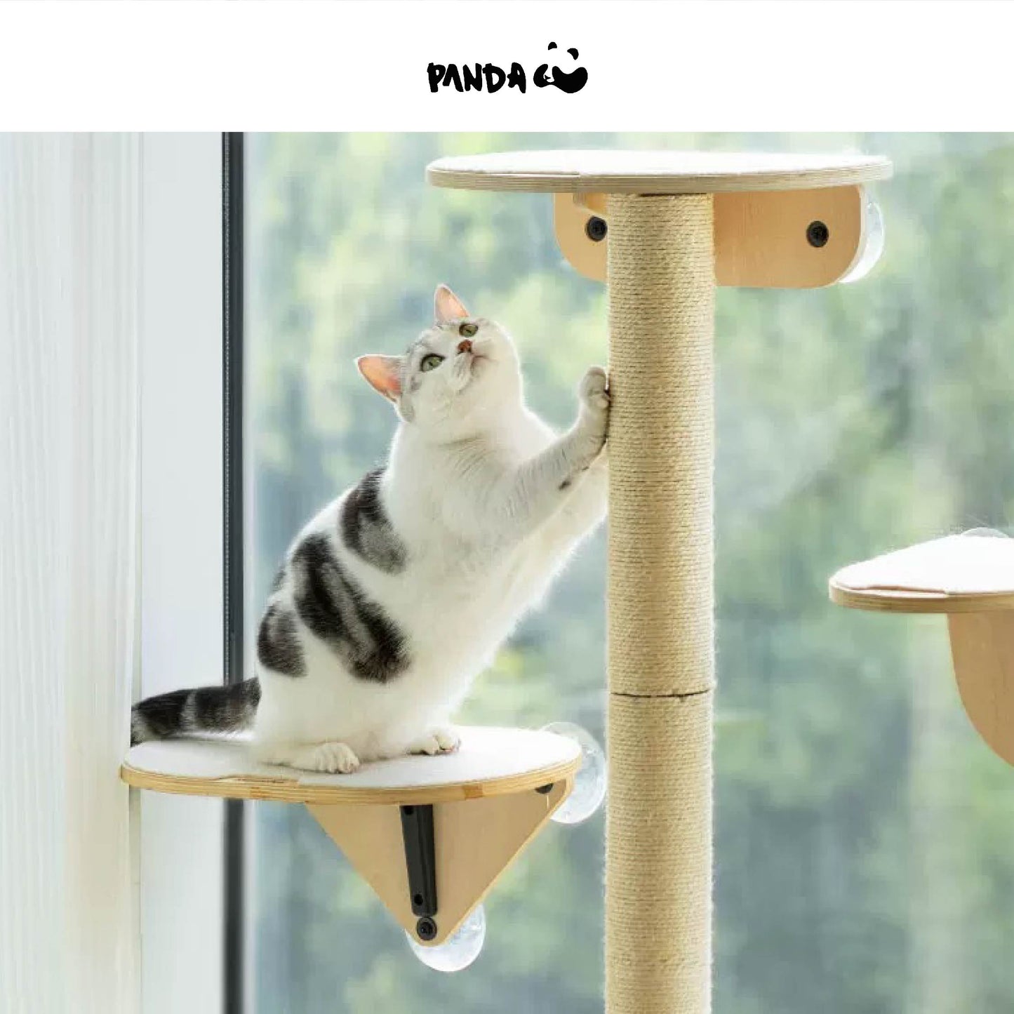 QM088 Cat Window Scratching Post
