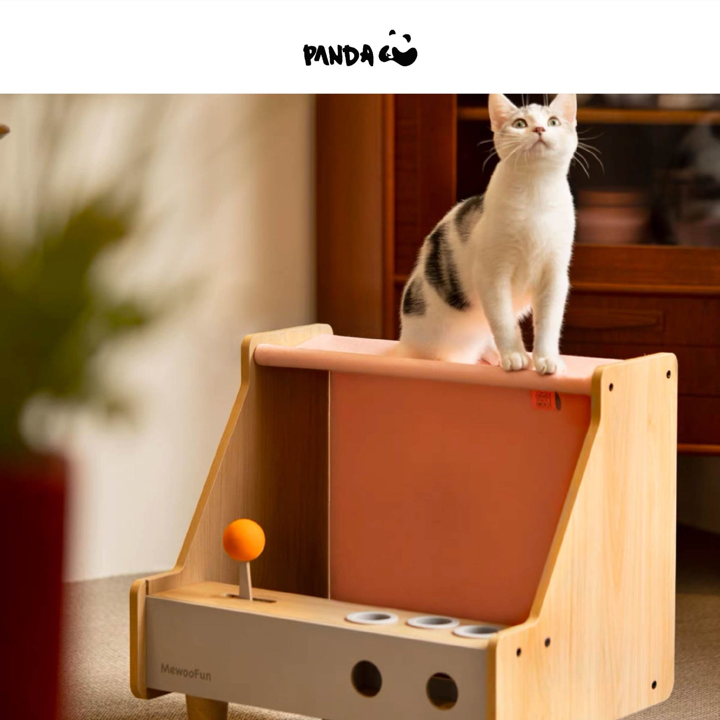 QCH24 Cat Game Box Cat House