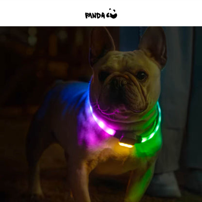 Pet Rechargeable Led Collar - S/M/L Size