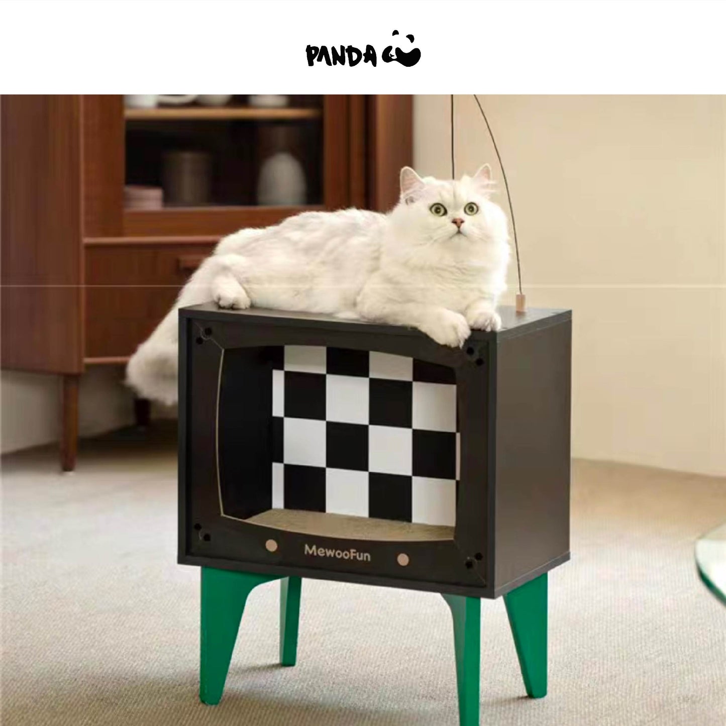 QM029 Cat Cable TV Cat House