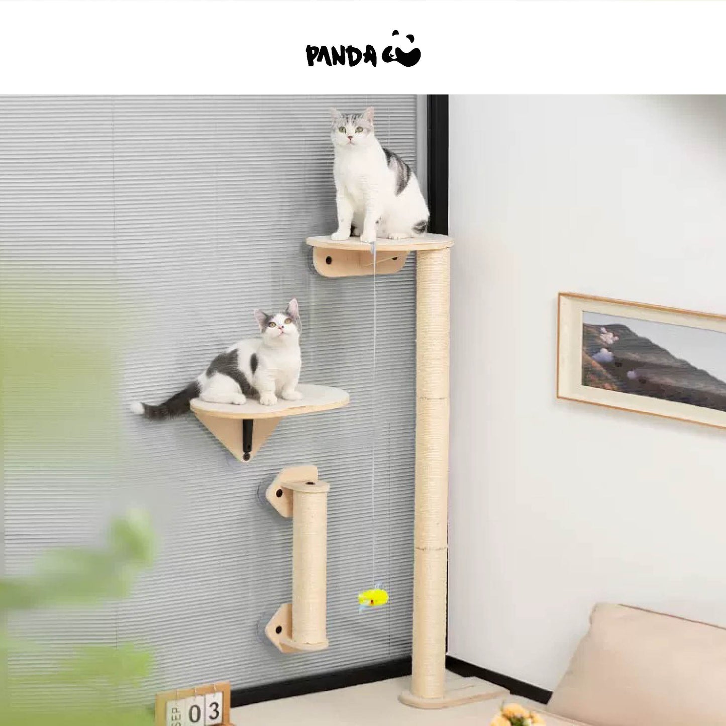 QM088 Cat Window Scratching Post