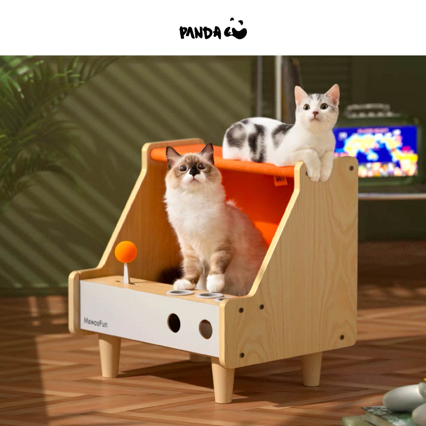 QCH24 Cat Game Box Cat House