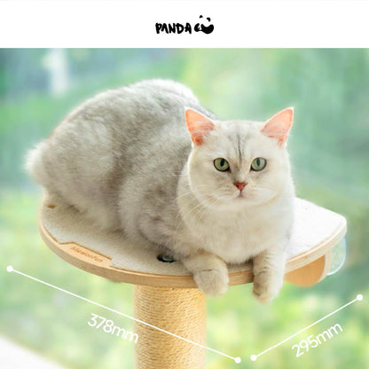 QM088 Cat Window Scratching Post