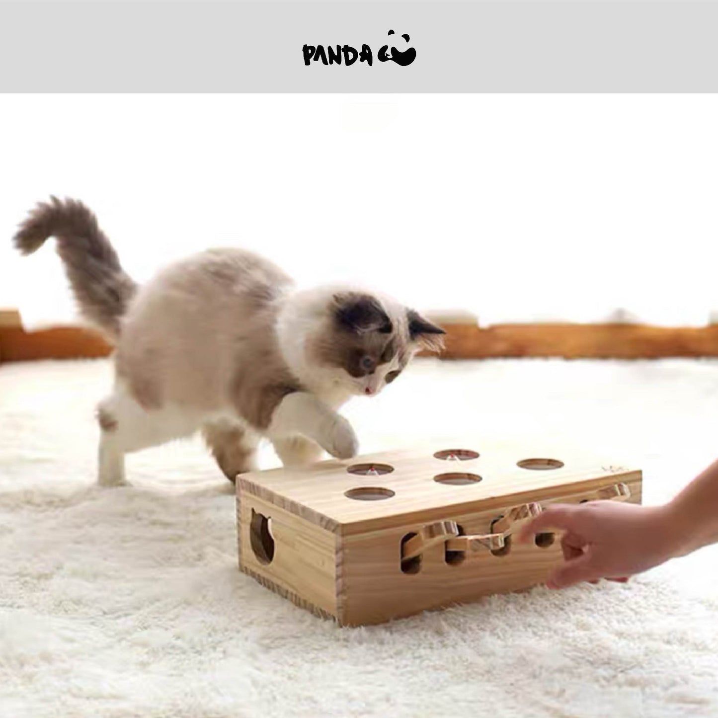 MA-012 Cat toys