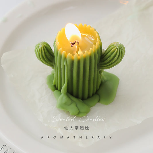 Cactus gift box candle
