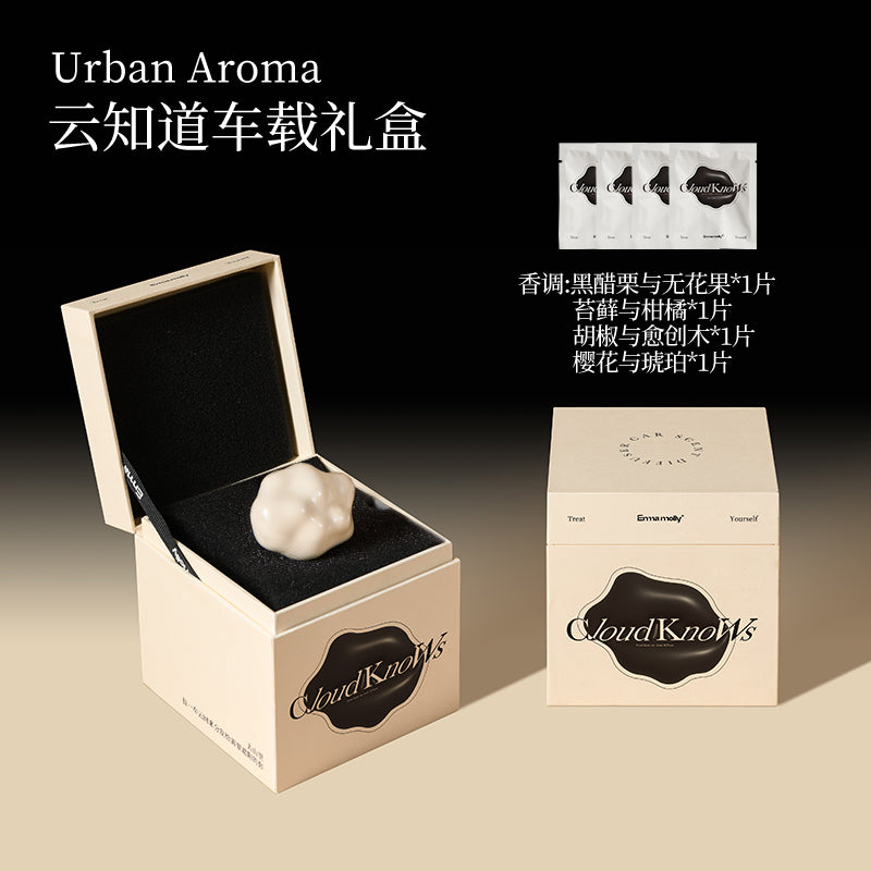 Floating Balloon Car Aromatherapy